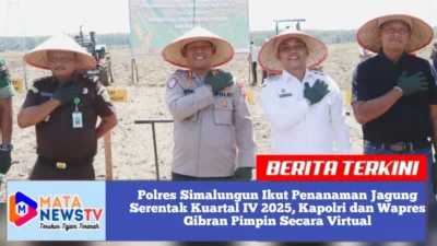 Polres Simalungun Ikut Penanaman Jagung Serentak Kuartal IV 2025, Kapolri dan Wapres Gibran Pimpin Secara Virtual