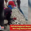 Pelindo Regional 1 Bawa Harapan Baru bagi Nelayan Batu Bara
