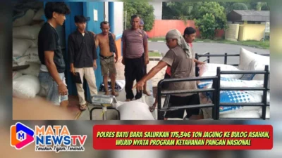 Polres Batu Bara Salurkan 175,346 Ton Jagung ke Bulog Asahan, Wujud Nyata Program Ketahanan Pangan Nasional
