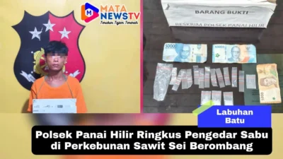Polsek Panai Hilir Ringkus Pengedar Sabu di Perkebunan Sawit Sei Berombang