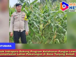 Polsek Indrapura Dukung Program Ketahanan Pangan Lewat Pemanfaatan Lahan Pekarangan di Desa Tanjung Kubah