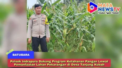 Polsek Indrapura Dukung Program Ketahanan Pangan Lewat Pemanfaatan Lahan Pekarangan di Desa Tanjung Kubah