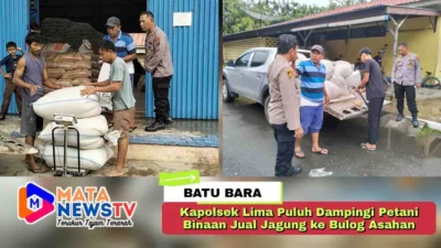 Kapolsek Lima Puluh Dampingi Petani Binaan Jual Jagung ke Bulog Asahan