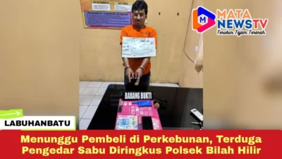 Menunggu Pembeli di Perkebunan, Terduga Pengedar Sabu Diringkus Polsek Bilah Hilir