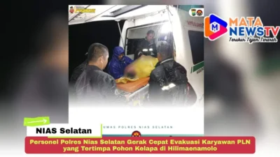 Personel Polres Nias Selatan Gerak Cepat Evakuasi Karyawan PLN yang Tertimpa Pohon Kelapa di Hilimaenamolo