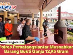 Polres Pematangsiantar Musnahkan Barang Bukti Ganja 12,95 Gram