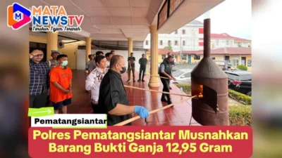 Polres Pematangsiantar Musnahkan Barang Bukti Ganja 12,95 Gram