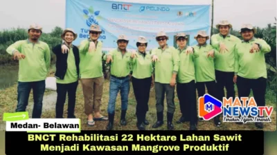 BNCT Rehabilitasi 22 Hektare Lahan Sawit Menjadi Kawasan Mangrove Produktif