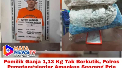 Pemilik Ganja 1,13 Kg Tak Berkutik, Polres Pematangsiantar Amankan Seorang Pria