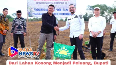 Dari Lahan Kosong Menjadi Peluang, Bupati Labusel Tinjau Kebun Pisang Petani Muda