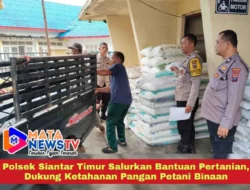 Polsek Siantar Timur Salurkan Bantuan Pertanian, Dukung Ketahanan Pangan Petani Binaan
