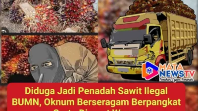 Diduga Jadi Penadah Sawit Ilegal BUMN, Oknum Berseragam Disorot Warga