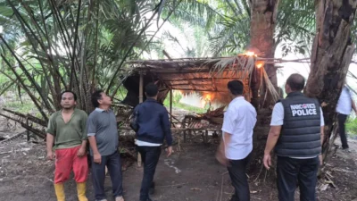 Respons Laporan Viral, Polres Sergai Musnahkan Dua Gubuk Diduga Jadi Sarang Narkoba di Silindak