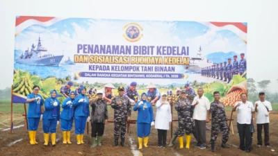 Kodaeral I Tanam Kedelai di Tanjung Morawa, Perkuat Ketahanan Pangan Berbasis Masyarakat