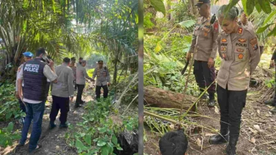 Kapolres Sergai Turun Langsung dalam Gerebek Sarang Narkoba di Pantai Cermin Kiri, Satu Pria Diamankan