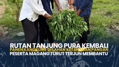 Rutan Tanjung Pura Kembali Panen Kangkung, Peserta Magang Turut Terlibat dalam Program Ketahanan Pangan