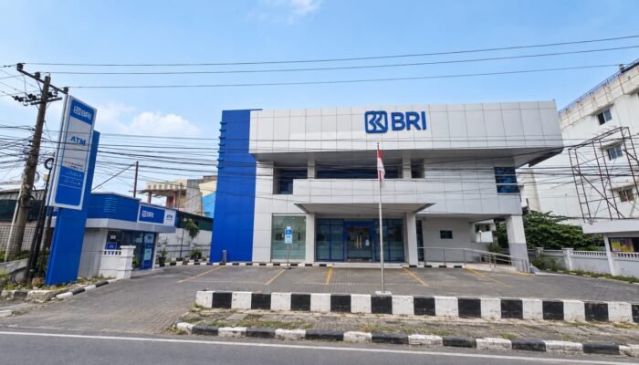 KUPEDES BRI Bantu Ani Kembangkan Usaha Opak hingga Buka Lapangan Kerja